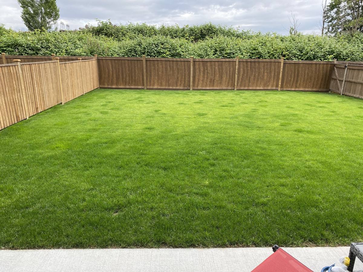 Neatly maintained lawn and edges